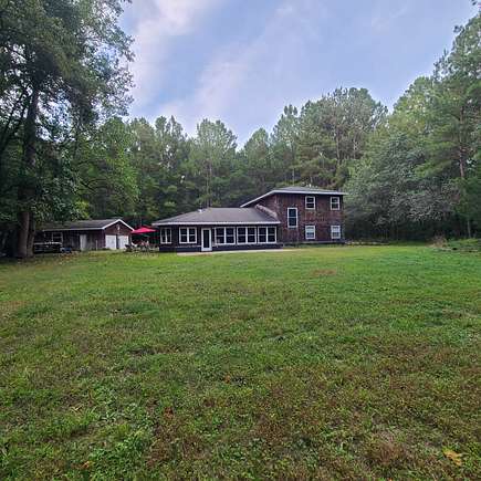 Rear at edge of meadow