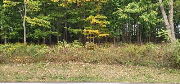 2.41 Acres of Residential Land for Sale in New Windsor, New York