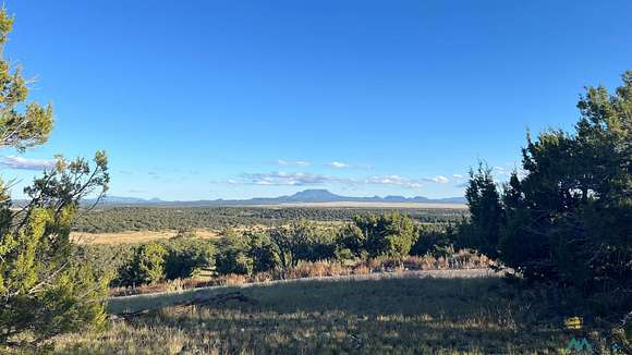 23.94 Acres of Recreational Land for Sale in Quemado, New Mexico