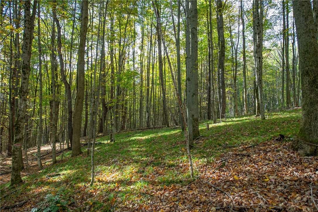 9 Acres of Residential Land for Sale in Kortright Town, New York