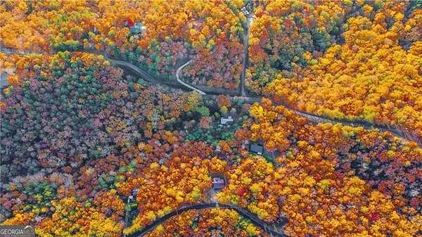 1 Acre of Land for Sale in Ranger, Georgia