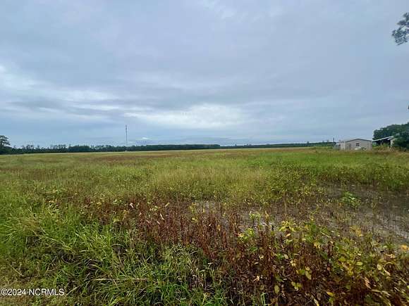 79.86 Acres of Agricultural Land for Sale in Chocowinity, North Carolina