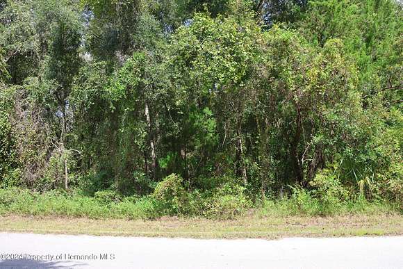 0.28 Acres of Residential Land for Sale in Inverness, Florida