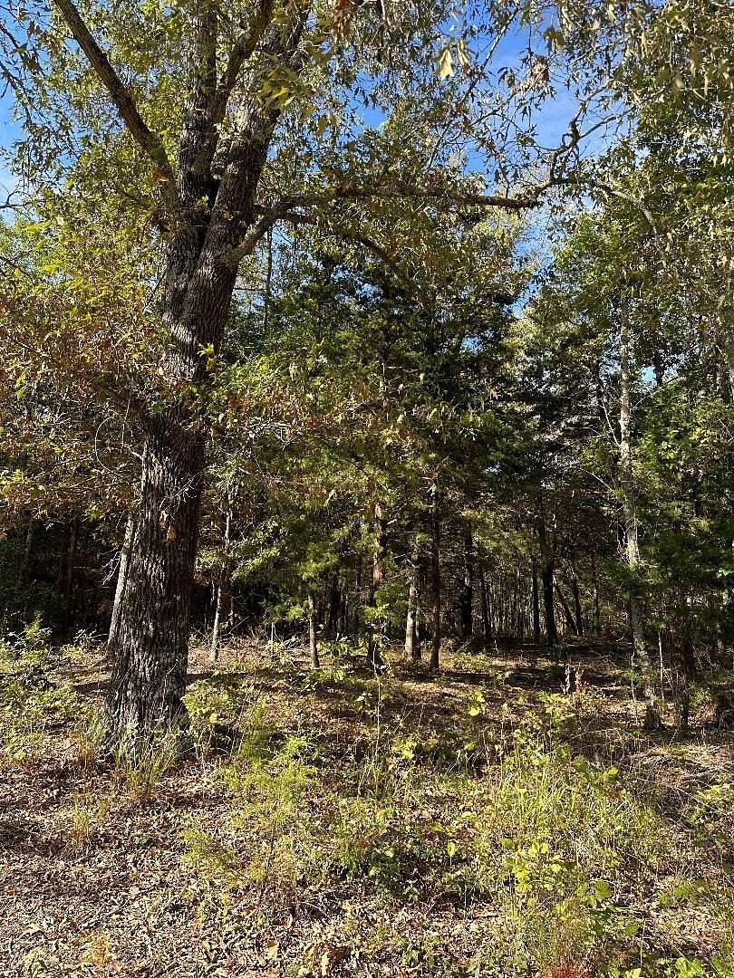 7.1 Acres of Residential Land for Sale in Sumner, Texas