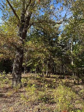 7.11 Acres of Residential Land for Sale in Sumner, Texas