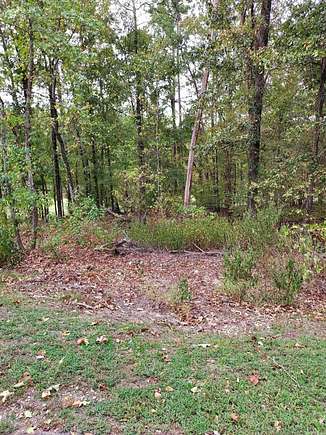 0.44 Acres of Residential Land for Sale in Hot Springs Village, Arkansas