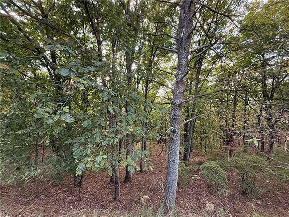 3.17 Acres of Residential Land for Sale in Jasper, Georgia