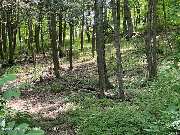 1.4 Acres of Residential Land for Sale in Esopus, New York