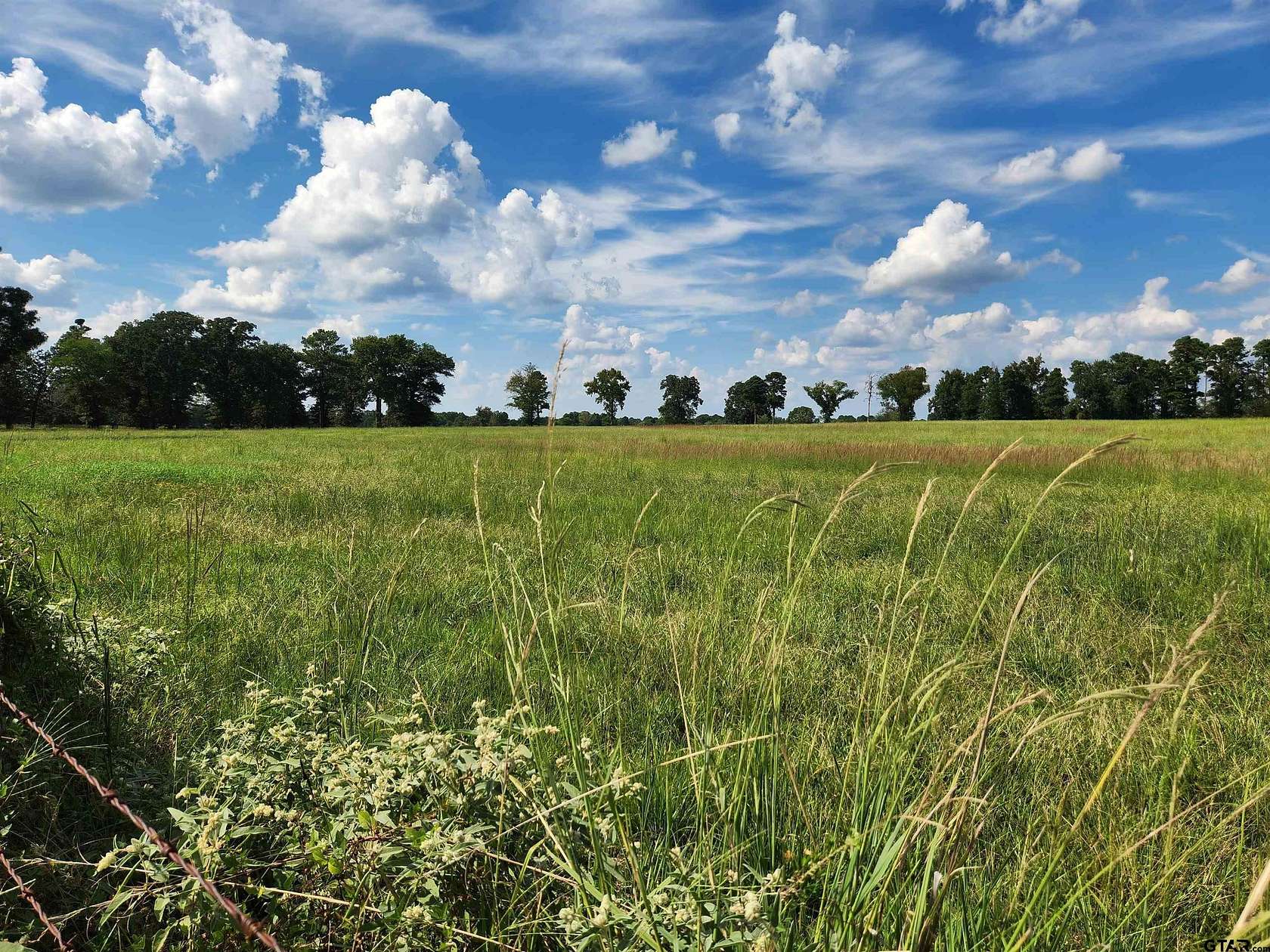 15 Acres of Land for Sale in Mount Pleasant, Texas