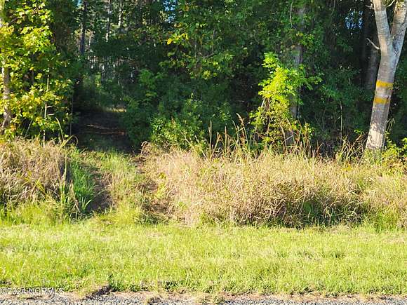 35.15 Acres of Recreational Land for Sale in Edward, North Carolina