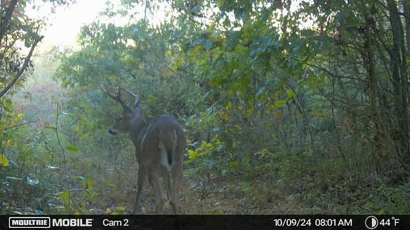 483 Acres of Recreational Land for Sale in Wilkesville, Ohio