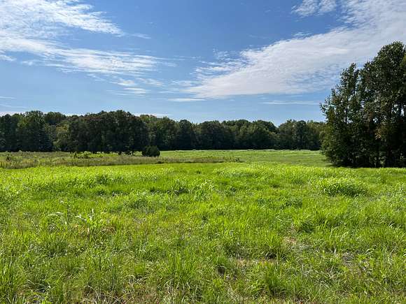 174.37 Acres of Recreational Land for Sale in Puryear, Tennessee