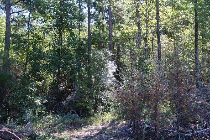 0.57 Acres of Residential Land for Sale in Anacoco, Louisiana