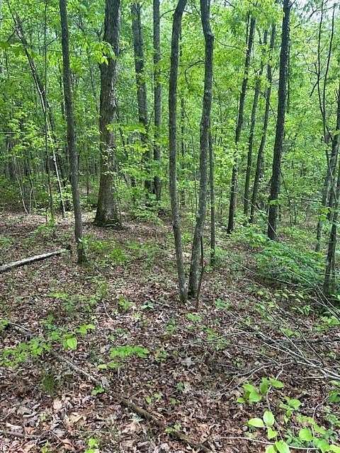 5.39 Acres of Residential Land for Sale in Wilder, Tennessee