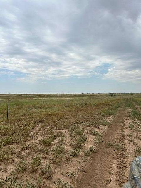 40 Acres of Land for Sale in Amarillo, Texas