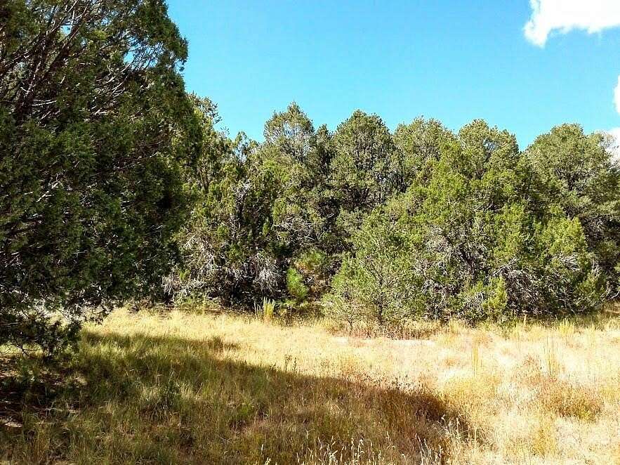 2.02 Acres of Land for Sale in Edgewood, New Mexico