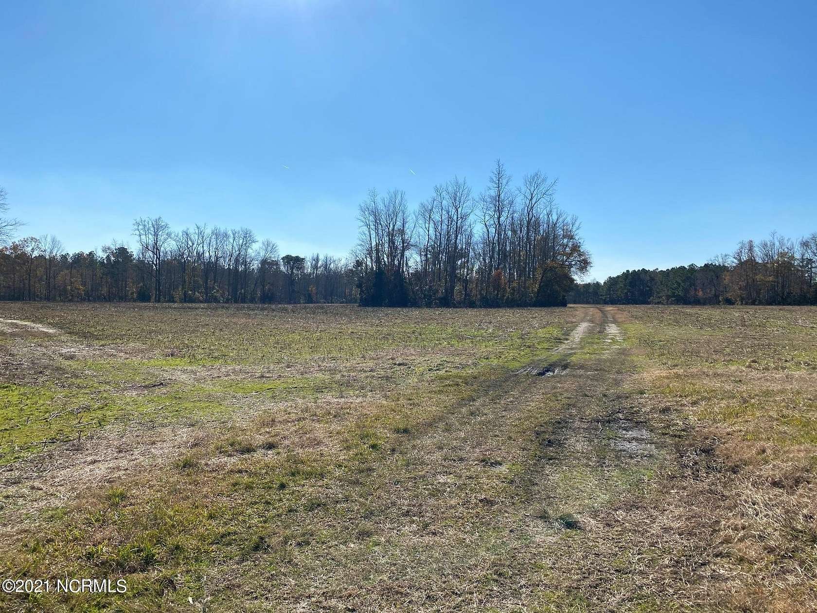 17.83 Acres of Land for Sale in Maysville, North Carolina