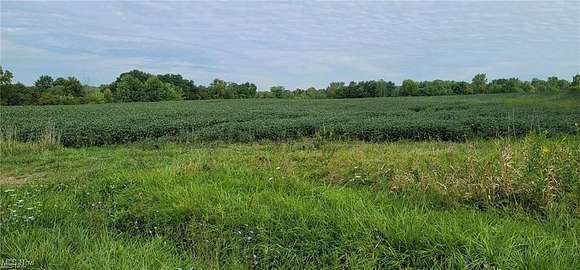 34.409 Acres of Agricultural Land for Sale in Medina, Ohio