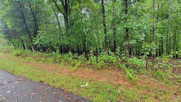 0.85 Acres of Residential Land for Sale in Moneta, Virginia