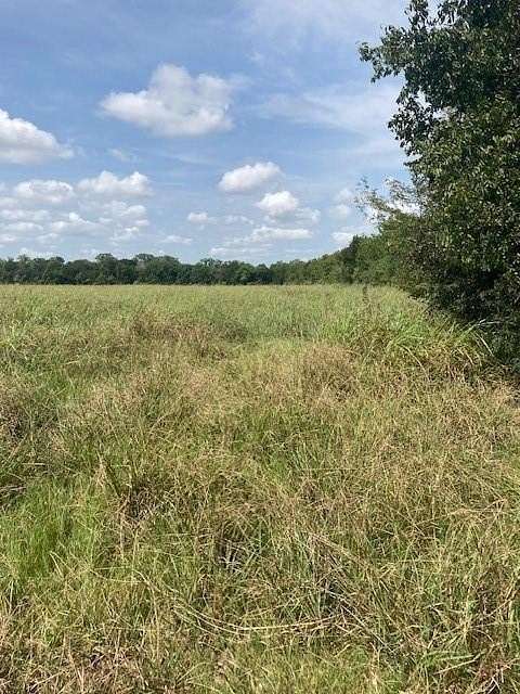 77 Acres of Agricultural Land for Sale in Greenville, Texas