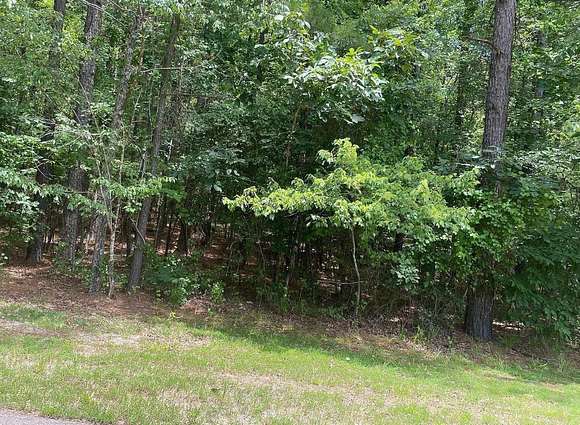 0.35 Acres of Residential Land for Sale in Hot Springs Village, Arkansas