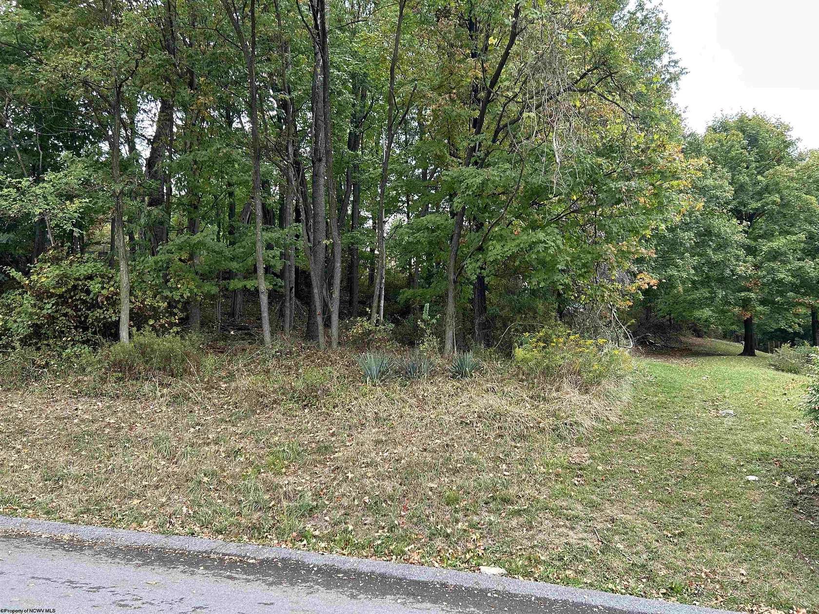 0.48 Acres of Residential Land for Sale in Morgantown, West Virginia