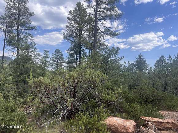 0.9 Acres of Residential Land for Sale in Pine, Arizona