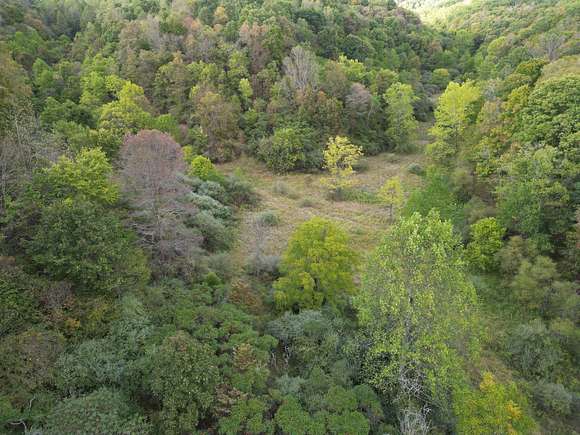 184.26 Acres of Land for Sale in Gandeeville, West Virginia