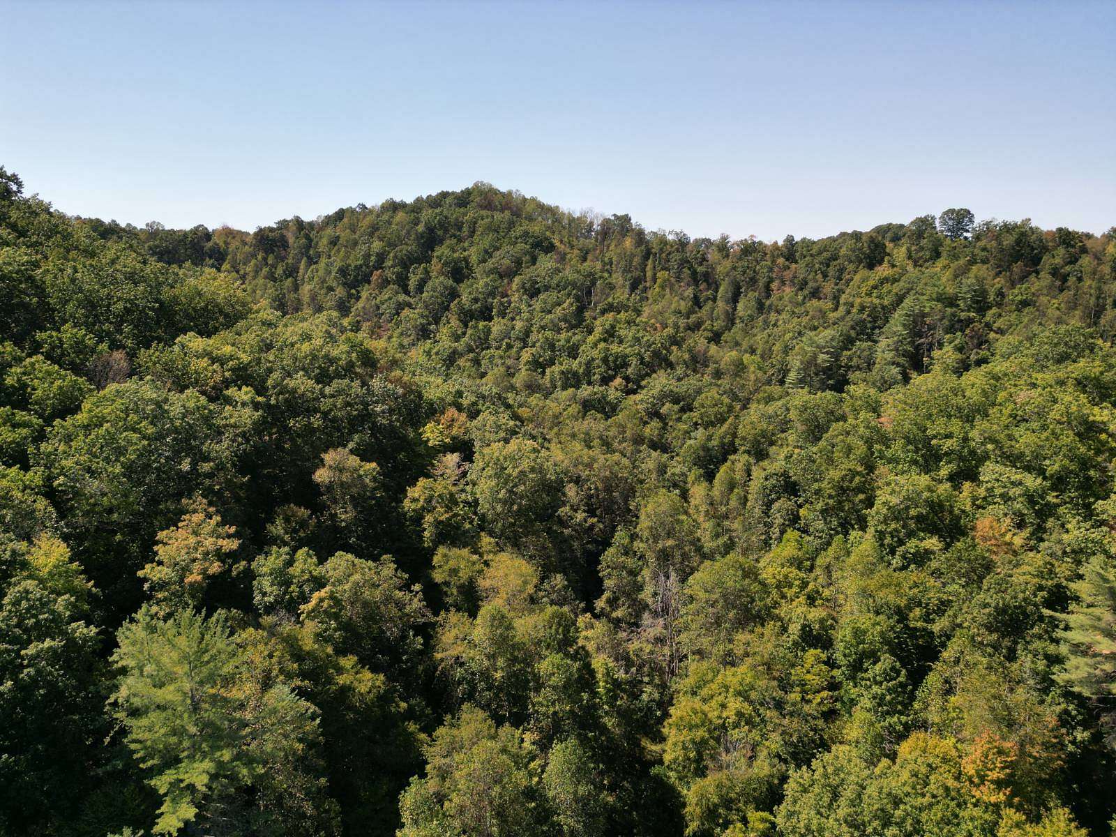 252.89 Acres of Recreational Land for Sale in Chloe, West Virginia