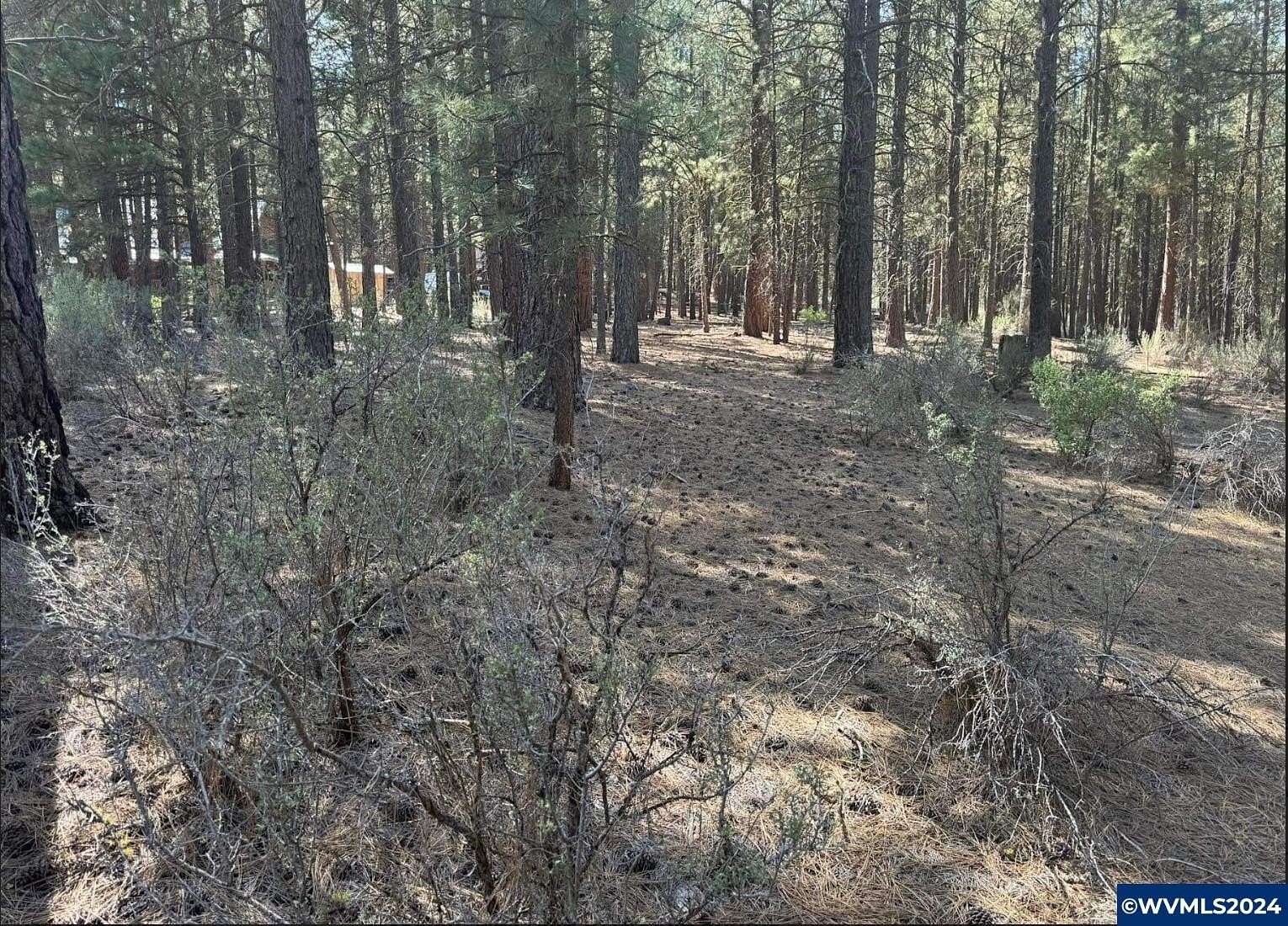 1.16 Acres of Land for Sale in Chiloquin, Oregon