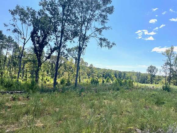 87 Acres of Recreational Land for Sale in Gore Springs, Mississippi