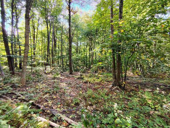 10.13 Acres of Land for Sale in Pownal, Vermont