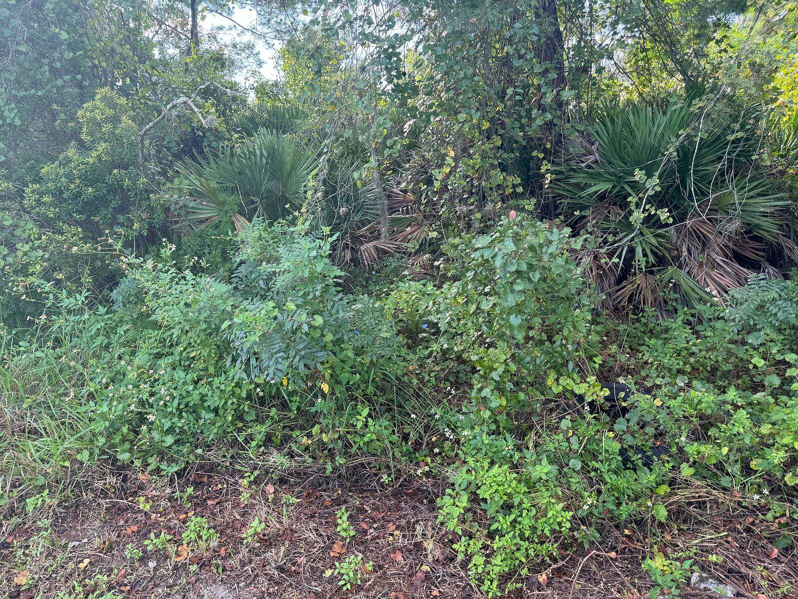 0.23 Acres of Residential Land for Sale in Lake Placid, Florida