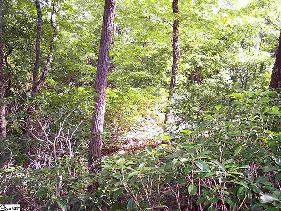 0.59 Acres of Residential Land for Sale in Cleveland, South Carolina