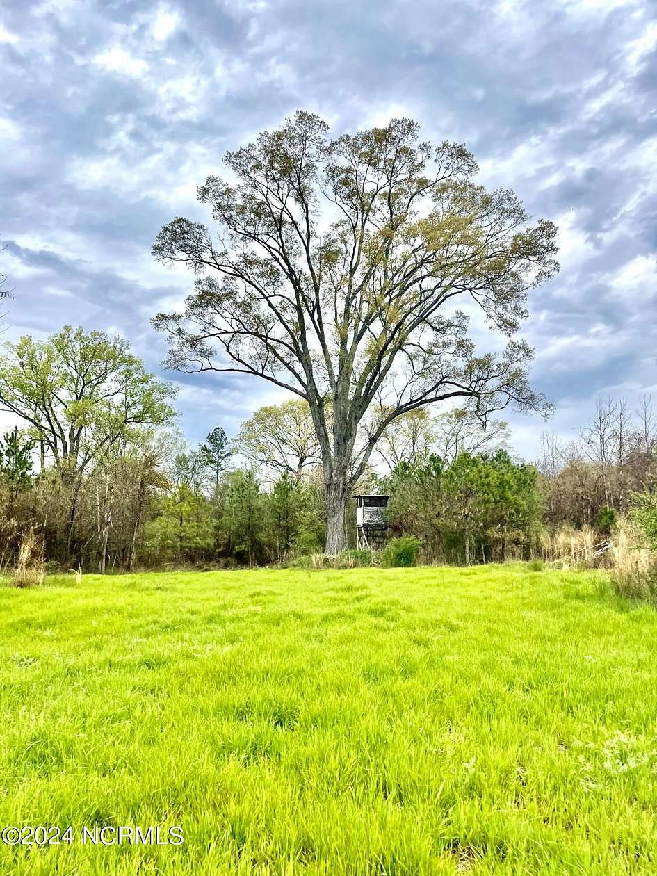 10 Acres of Recreational Land for Sale in Woodville Township, North Carolina