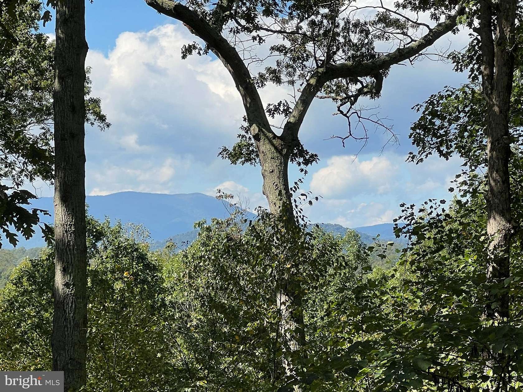 8.85 Acres of Land with Home for Sale in Castleton, Virginia