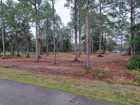 0.99 Acres of Residential Land for Sale in Dunnellon, Florida