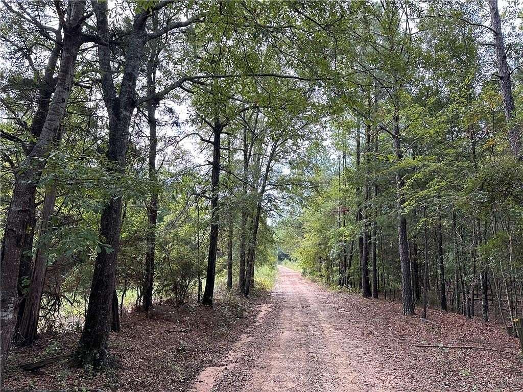 20 Acres of Recreational Land for Sale in Seale, Alabama