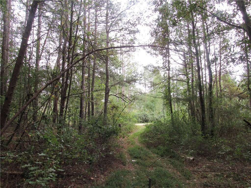 25.99 Acres of Recreational Land & Farm for Sale in Westminster, South Carolina