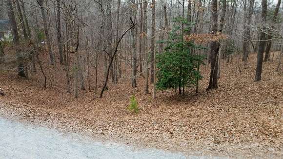 1.06 Acres of Residential Land for Sale in Ellijay, Georgia