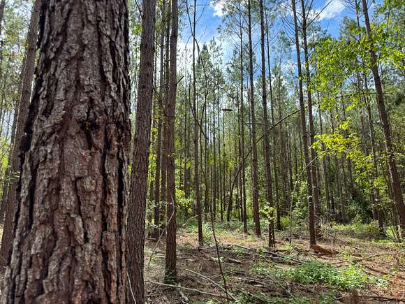 41.84 Acres of Recreational Land for Sale in Dadeville, Alabama