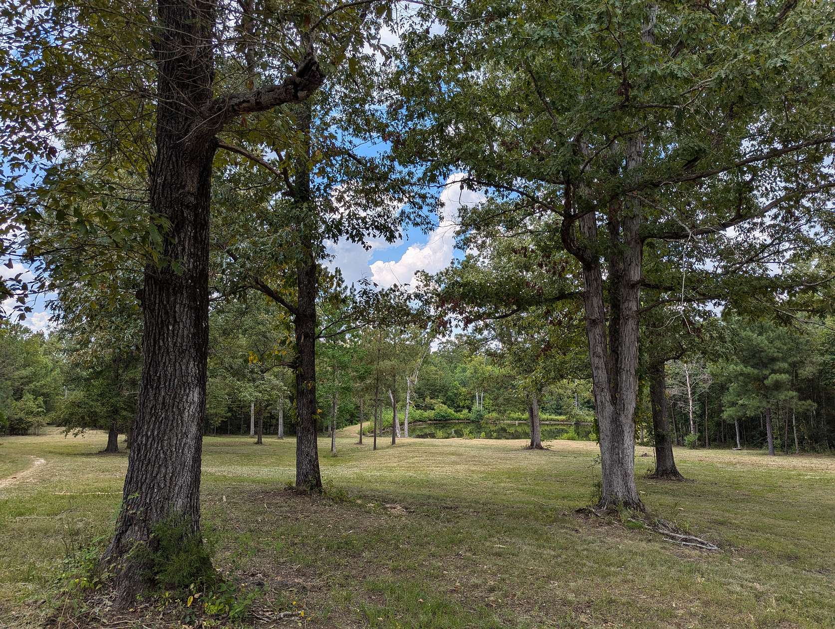 25 Acres of Recreational Land for Sale in Pike Road, Alabama