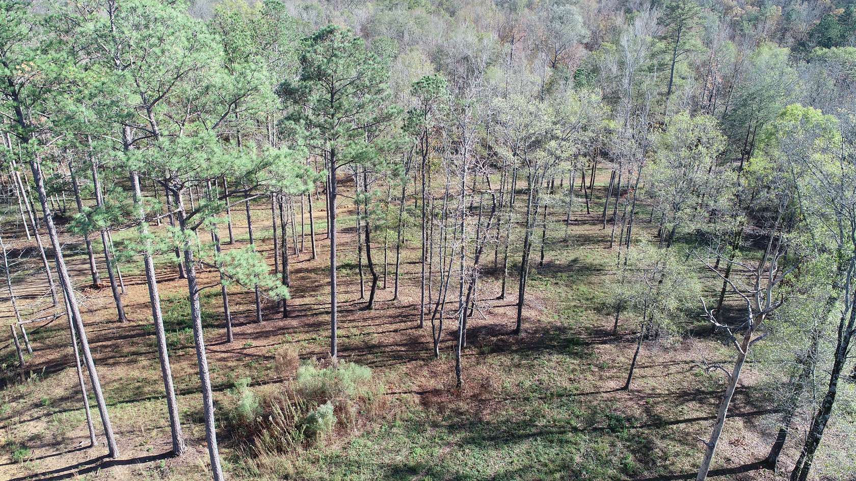 91 Acres of Recreational Land for Sale in Westover, Alabama