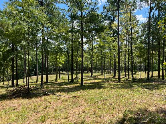 91 Acres of Recreational Land for Sale in Westover, Alabama