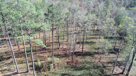 91 Acres of Recreational Land for Sale in Westover, Alabama