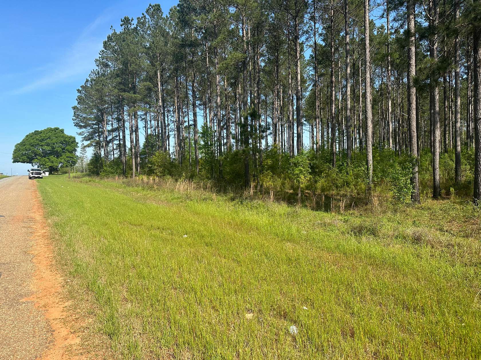 6 Acres of Agricultural Land for Sale in Hartford, Alabama