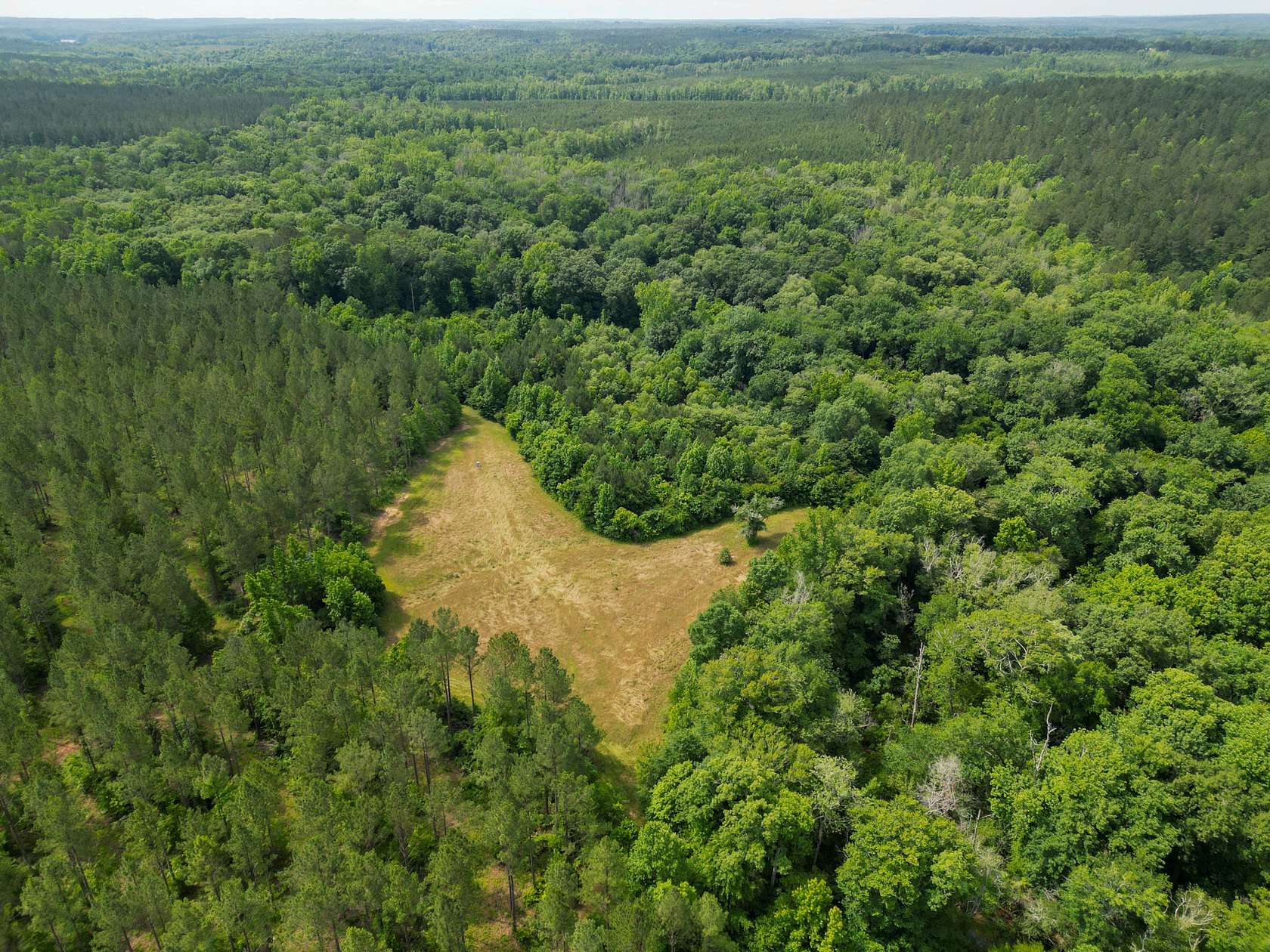 207 Acres of Recreational Land for Sale in La Fayette, Alabama