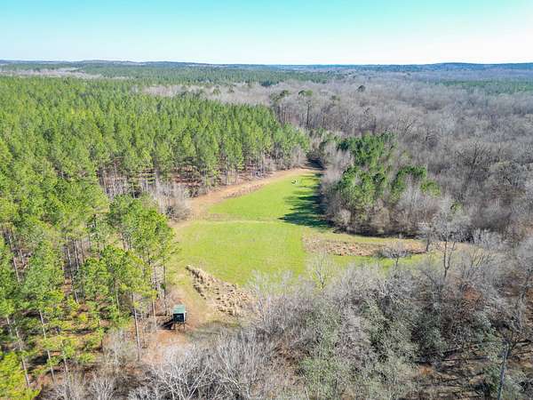 207 Acres of Recreational Land for Sale in La Fayette, Alabama