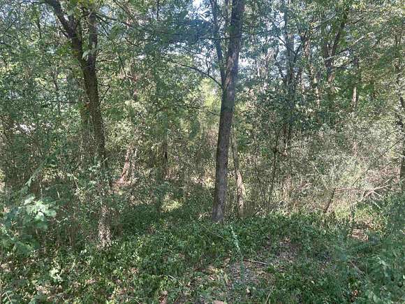 5.48 Acres of Residential Land for Sale in Plumerville, Arkansas