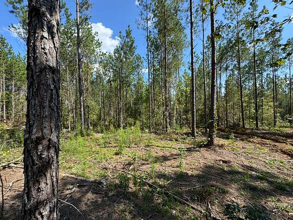 23 Acres of Land for Sale in Dadeville, Alabama